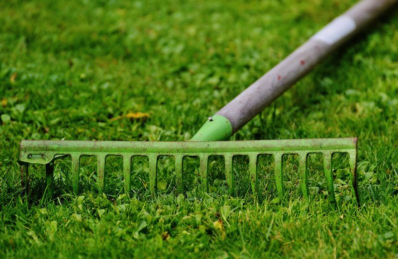 Verde e giardinaggio