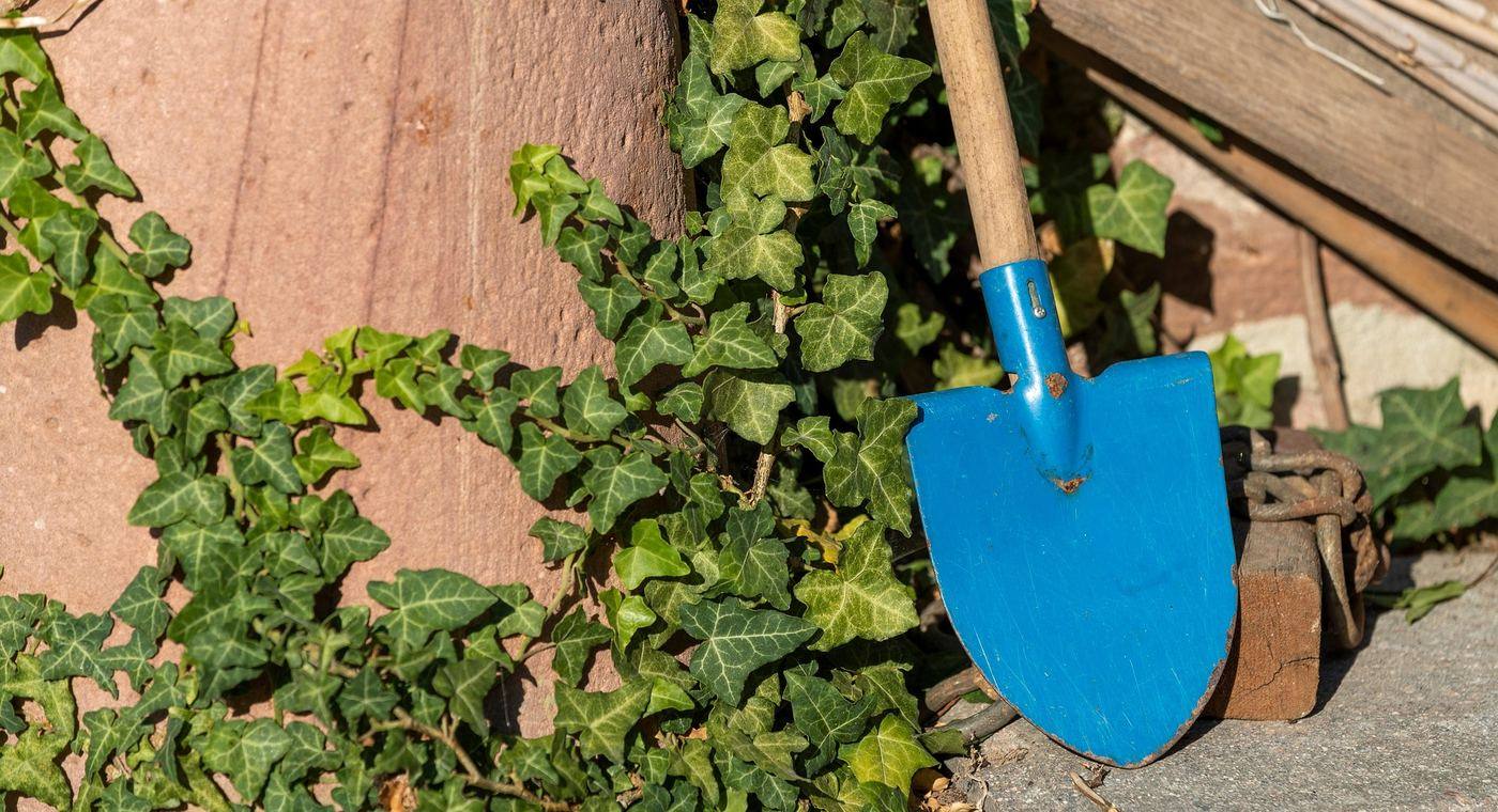 Verde e giardinaggio